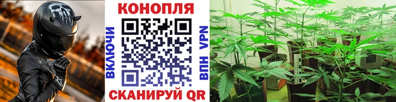 Где купить наркотики Буйнакск КОКАИН Меф СК Конопля