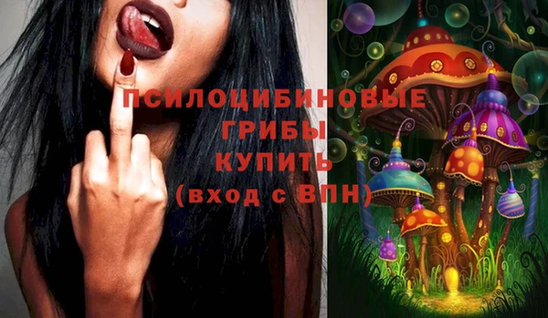 ECSTASY Богородицк