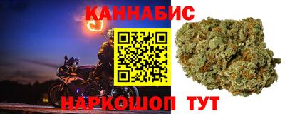 эйфоретик Гусев