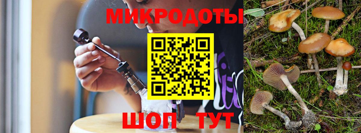 Псилоцибиновые грибы прущие грибы Буйнакск
