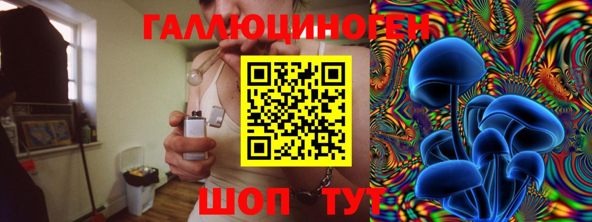 Псилоцибиновые грибы GOLDEN TEACHER  Псилоцибиновые грибы мицелий  Буйнакск 