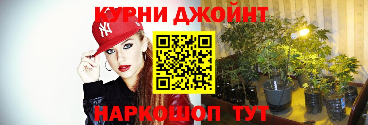 Бошки Шишки AK-47  Конопля семена  Конопля OG Kush  Буйнакск  Вход с VPN  Шишки марихуана тримм 
